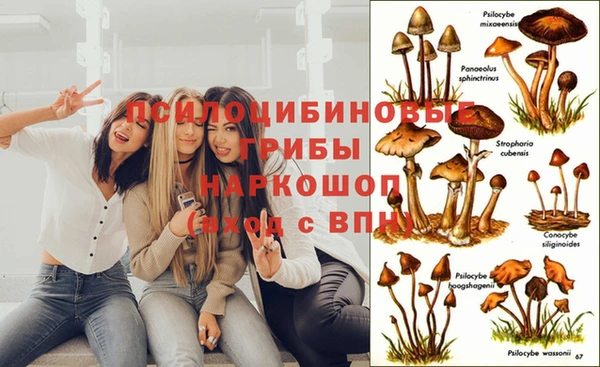 мдпв Абдулино