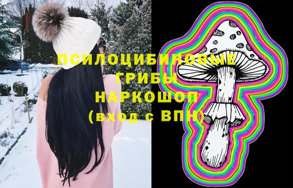 мдпв Абдулино