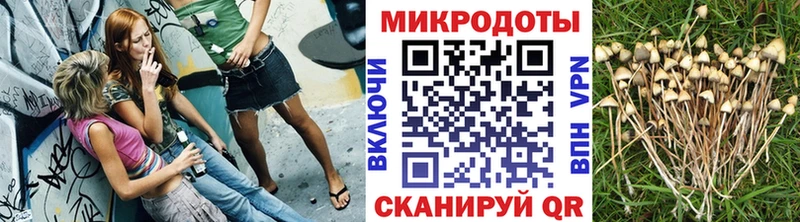 Галлюциногенные грибы прущие грибы  Ялта 